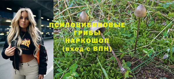 MDMA Белокуриха