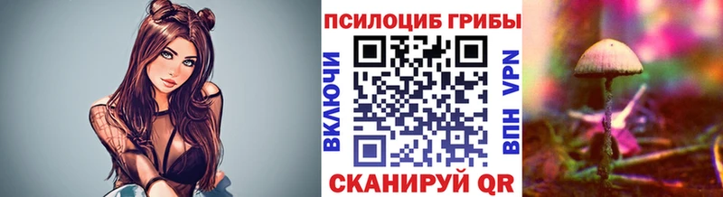 Купить  Дубовка  Псилоцибиновые грибы Psilocybe 