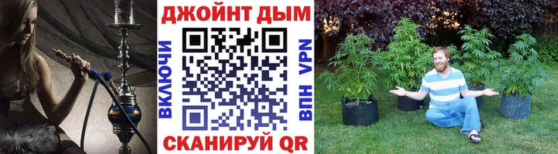 Бошки Шишки VHQ  Купить закладки  Дубовка 